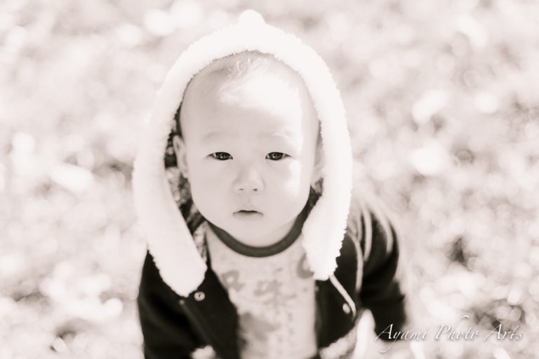 Family, Children, Baby, 1 year old birthday, Japanese, Central Park, NY Photographer
