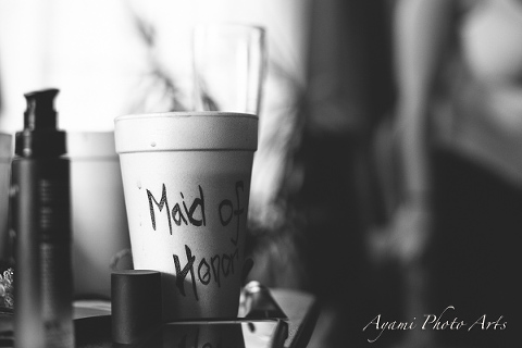 Country Side Wedding Photography, Catskill Photographer