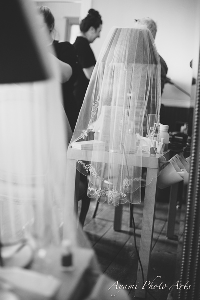 Country Side Wedding Photography, Catskill Photographer