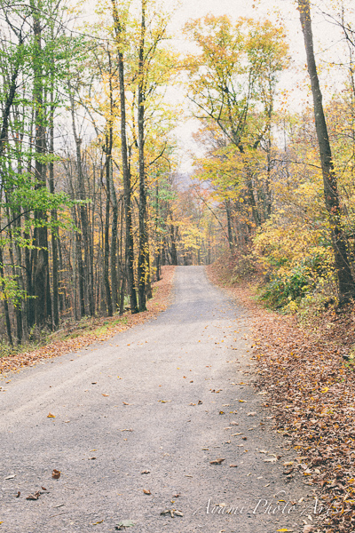 Country Side Wedding Photography, Catskill Photographer