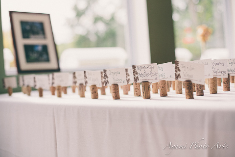 Country Side Wedding Photography, Catskill Photographer