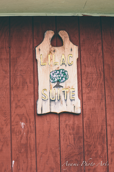 Country Side Wedding Photography, Catskill Photographer