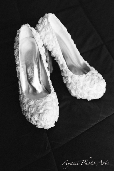 Country Side Wedding Photography, Catskill Photographer