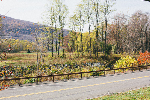 Country Side Wedding Photography, Catskill Photographer