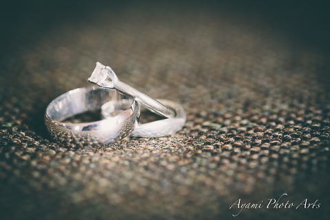 Country Side Wedding Photography, Catskill Photographer