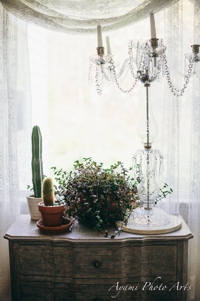 Country Side Wedding Photography, Catskill Photographer