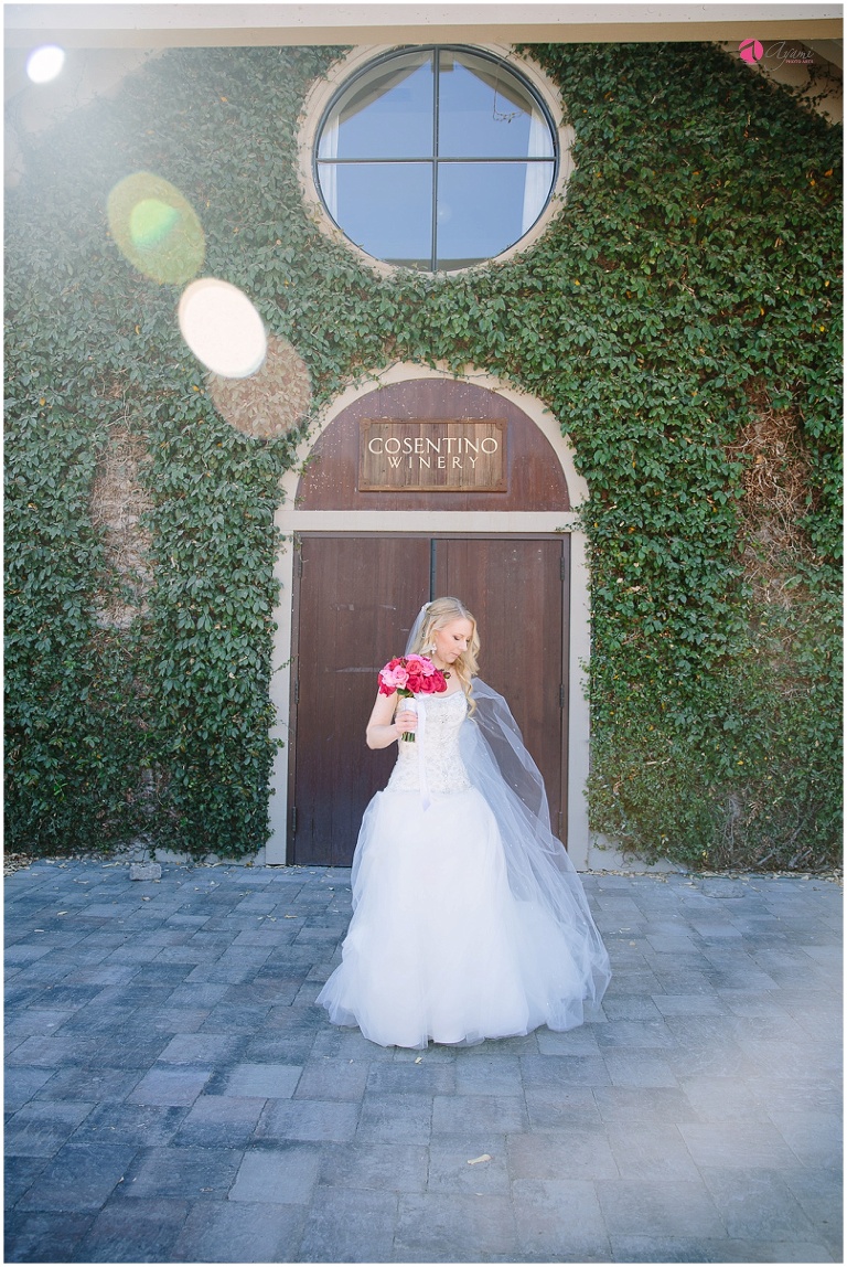 Napa, California, Wine Country Wedding