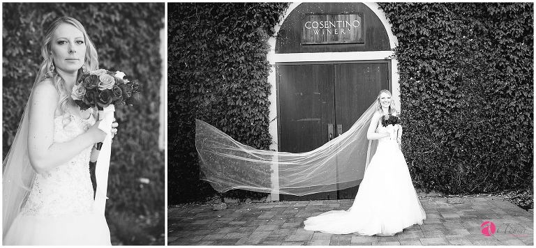 Napa, California, Wine Country Wedding