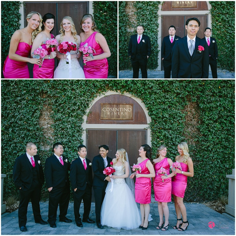 Napa, California, Wine Country Wedding